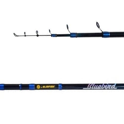 caÑa surfish bluebird