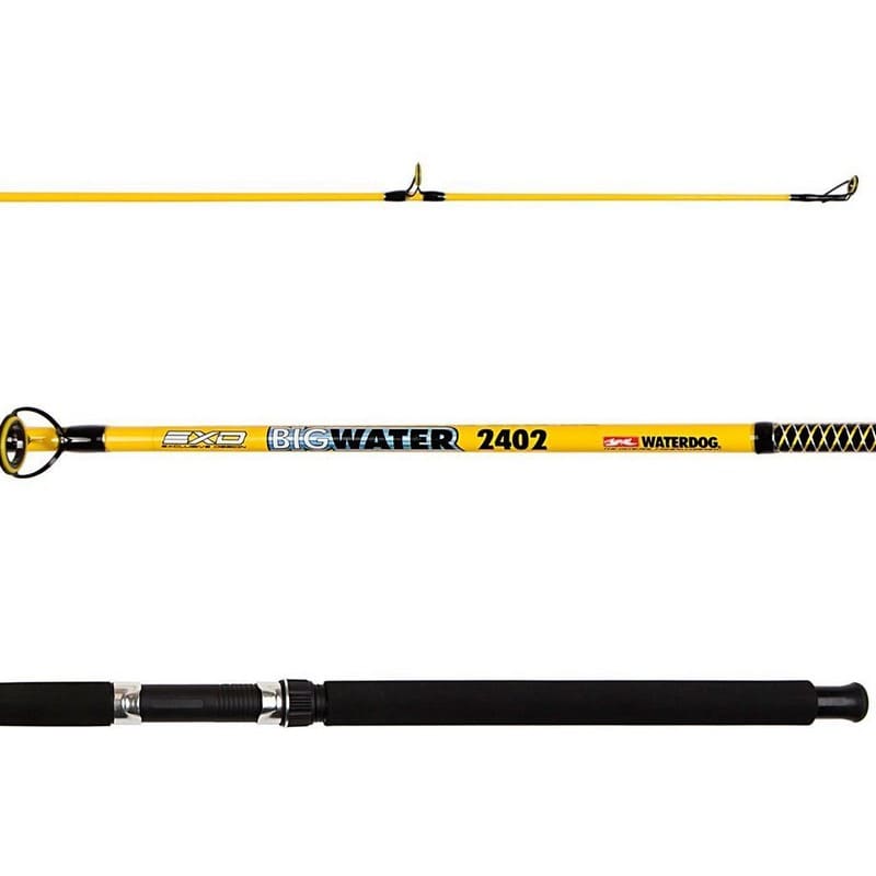 caÑa waterdog big water