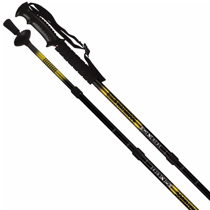 BASTON WATERDOG ICE