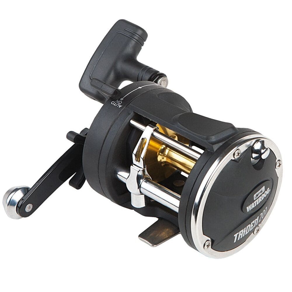 reel waterdog triden