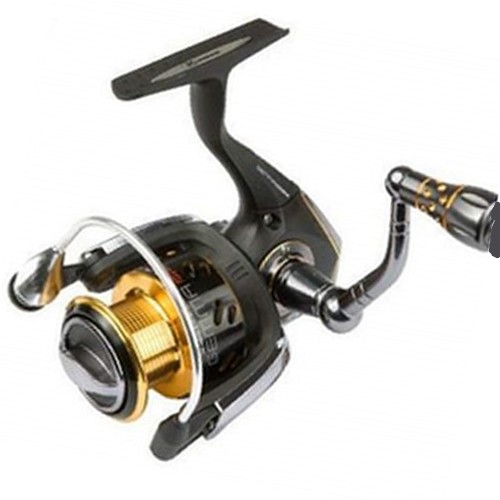 reel kunnan gemma