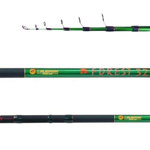 caÑa surfish forest