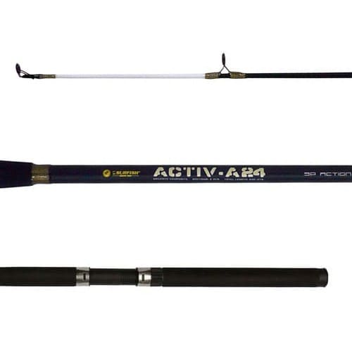caÑa surfish active