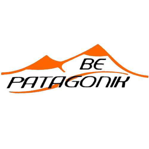 patagonik logo